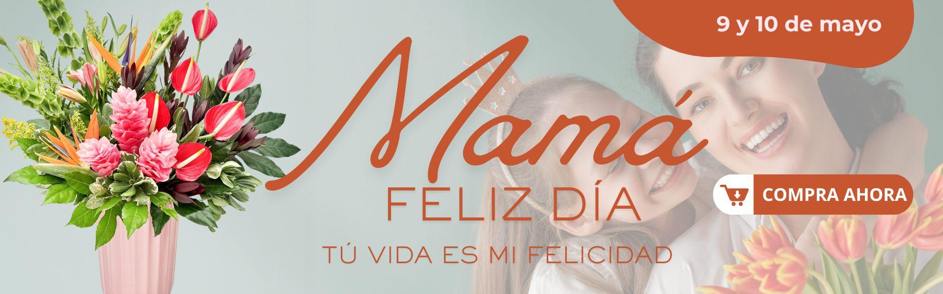 flores|flores tunja|envio a domicilio 